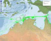 Observations of bioluminescence in the Oceanic Shoals CMR