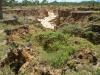 Alluvial gully at Strathalbyn Station