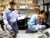 Preparation of herbicides for persistence experiments