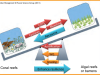Conceptual resilience model