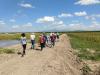 Constructed treatment wetland on a Burdekin cane farm - central berm (raised earth bank)