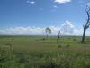 FitzroyRiver_floodplain.JPG