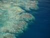 2017 coral bleaching from the air