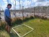 Wetland vegetation recovery within feral ungulate exclusion plots