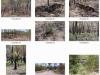 Collection of photos