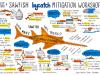Sawfish%20Workshop_Overall%20visual_SCAN-DrSuePillans2022.JPG