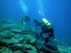 GBR divers