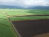 Far North Queensland cane fields aerial shot