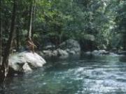 Wet Tropics