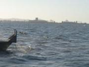 Inshore Commercial fisher