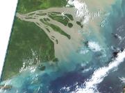 Flood Plume from Fly River (Landsat 5)