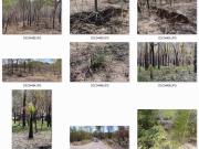 Collection of photos