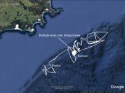GPS track of the Sea Glider