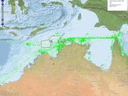 Observations of bioluminescence in the Oceanic Shoals CMR