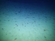 The abyss