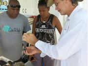 Paul Muir coral identification Nerp 2.3