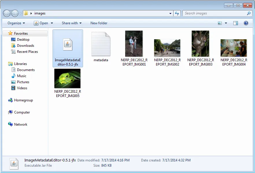 Selecting the Image Metadata Editor