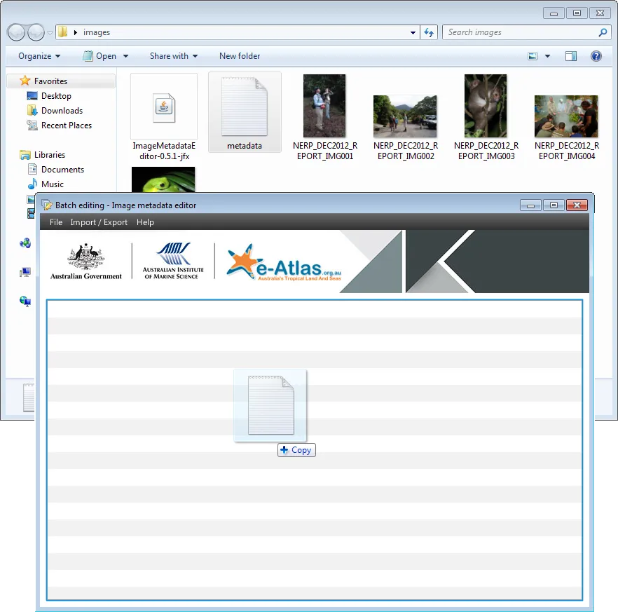 Loading a CSV file in the Image Metadata Editor