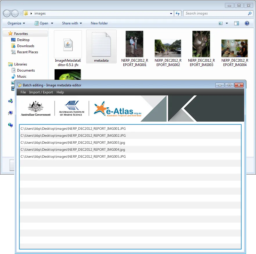 CSV file loaded in the Image Metadata Editor