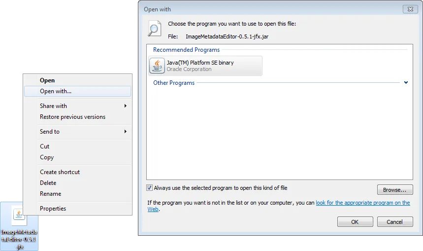 Execution the Image Metadata Editor manually