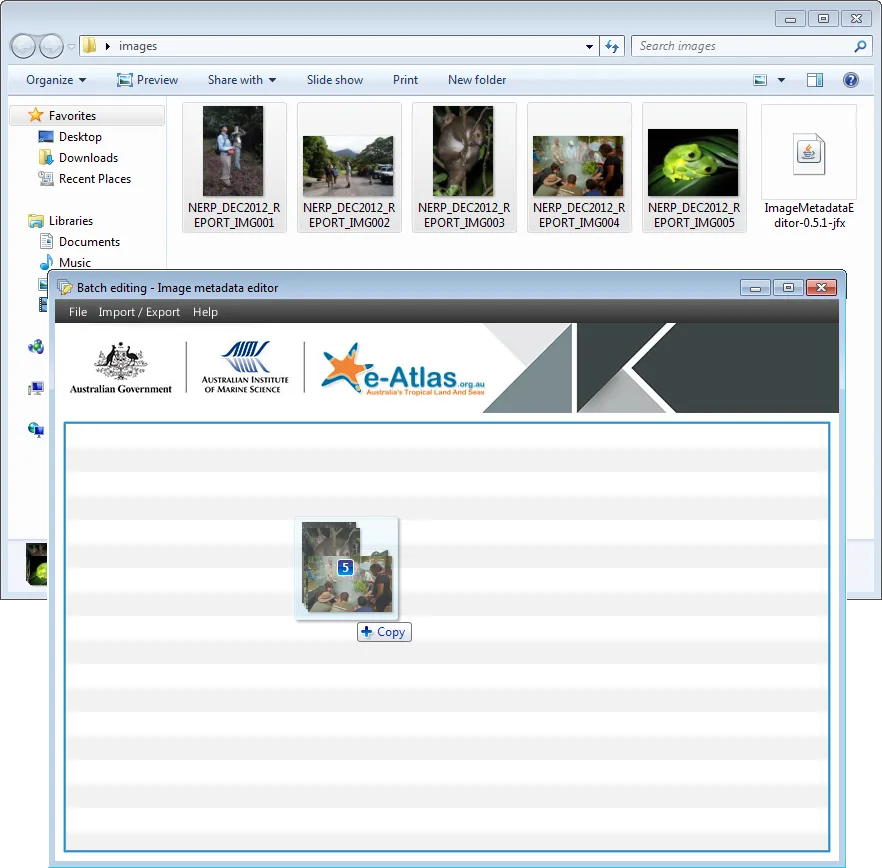 Loading images in the Image Metadata Editor