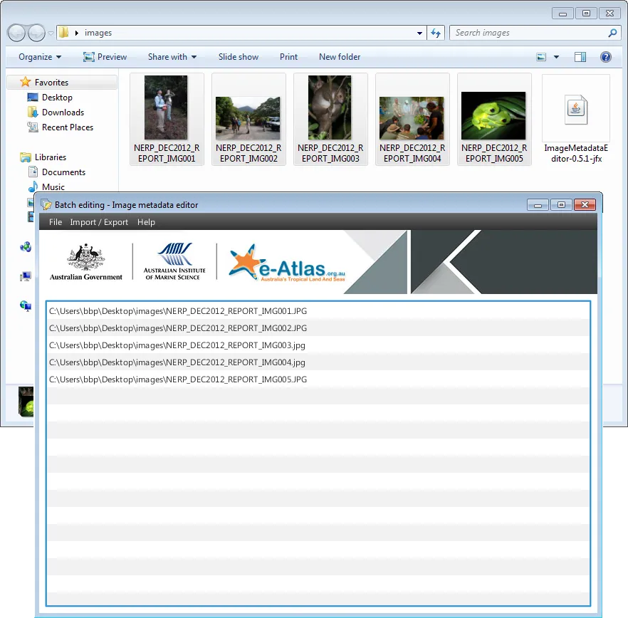 Images loaded in the Image Metadata Editor