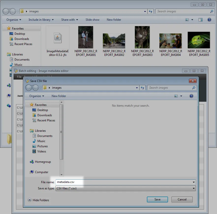 Exporting images metadata using the Image Metadata Editor