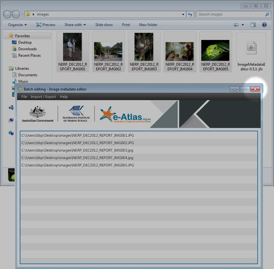 Closing the Image Metadata Editor