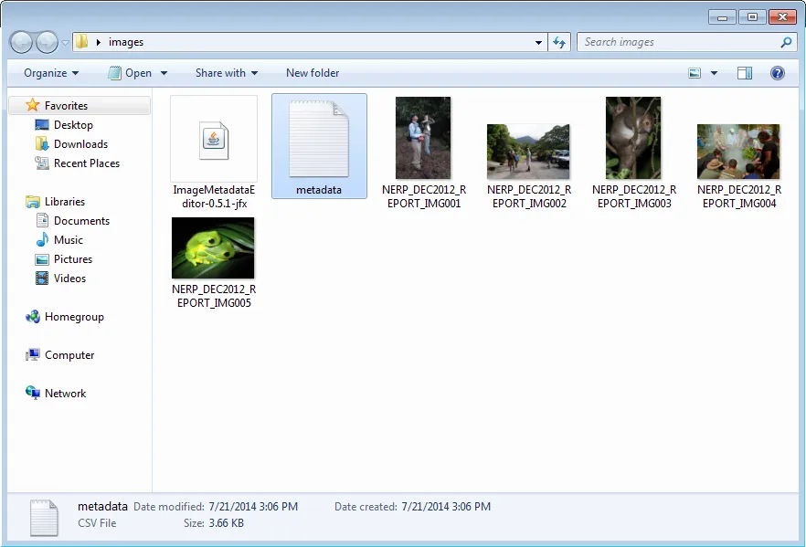 Metadata CSV file