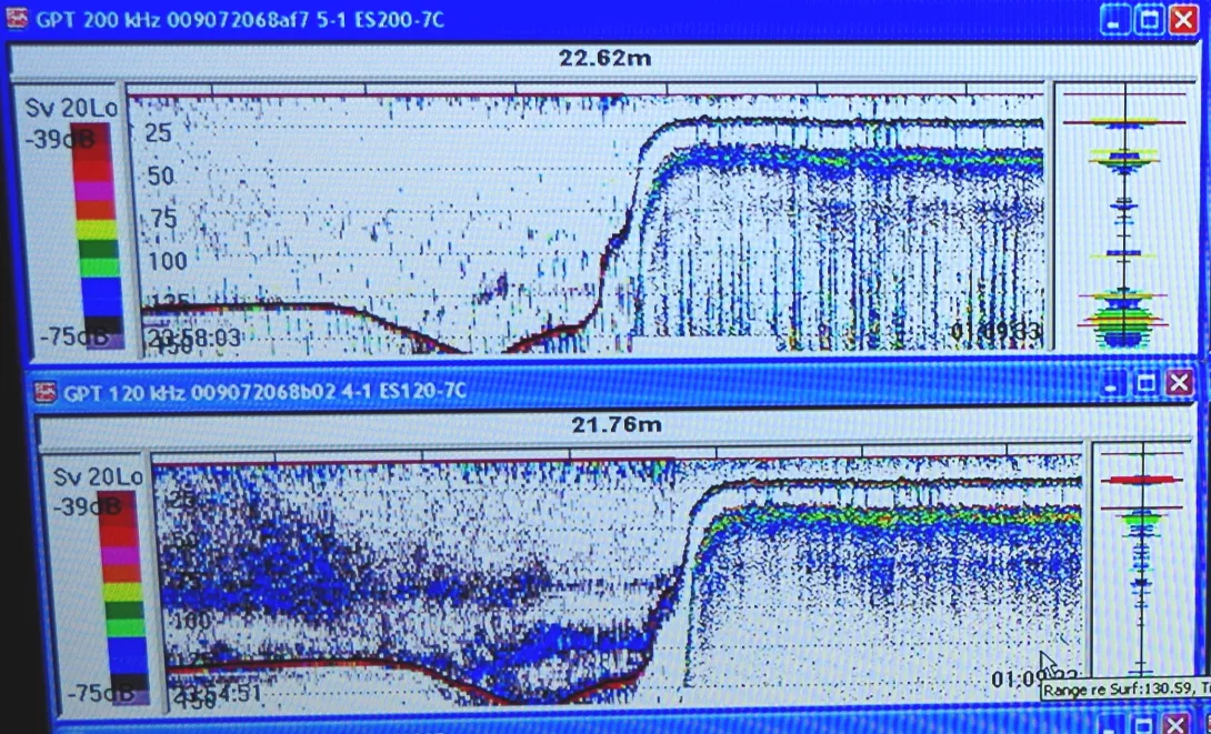 EK60 sound map