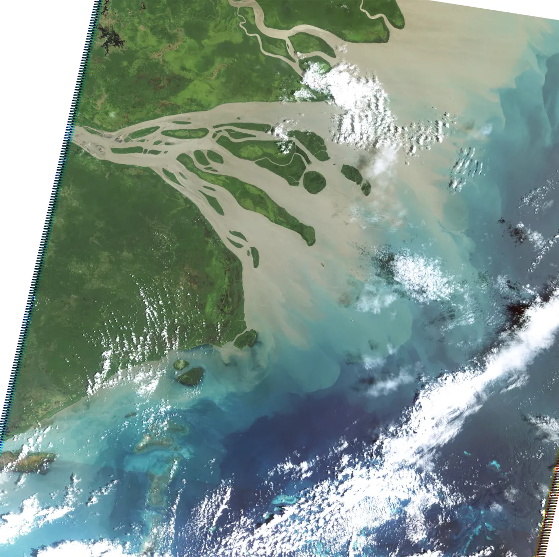 Flood Plume from Fly River (Landsat 5)