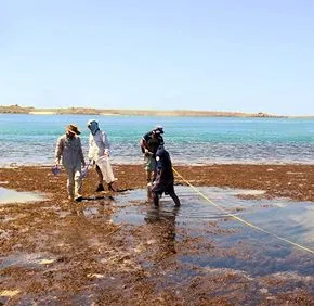 in-the-field.jpg