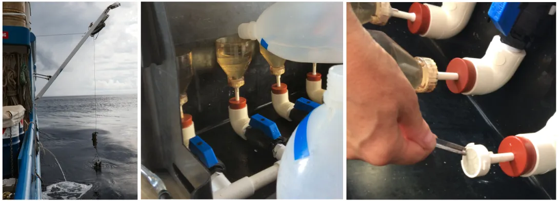 Taking a water sample for isotope analysis