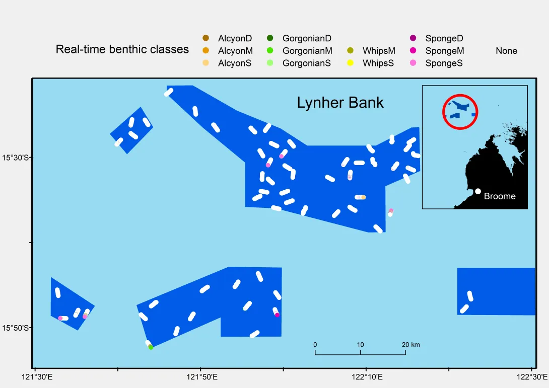 Sea floor habitat categories recorded using underwater towed video.