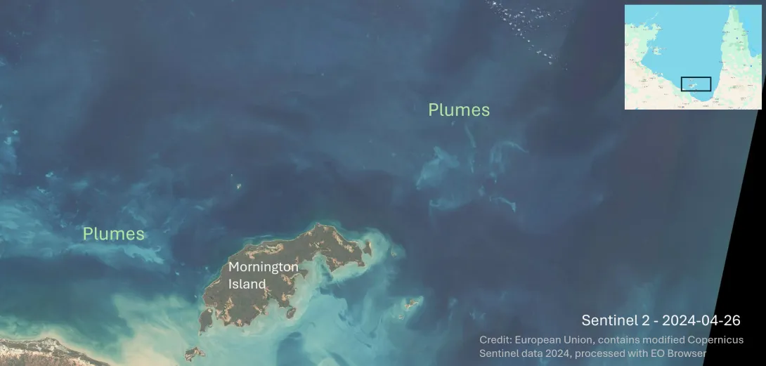 Satellite imagery showing Mornington Island. No reefs are visible dues to sediment plumes.